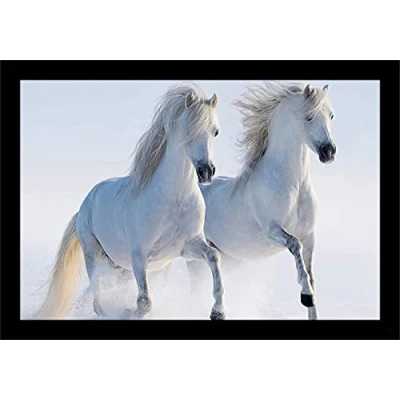 Image of Photograph Picture Frames Black Photo Real Wood Acrylic Glass Poster 500mm x 400mm