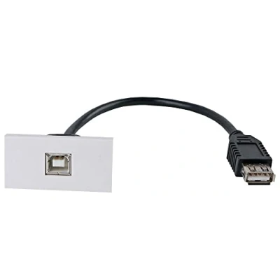 Image of PRO SIGNAL PSG3283 USB 2.0 B Socket Wall Plate Module, 50x25mm