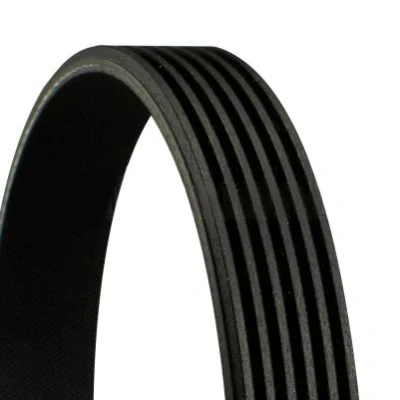 Image of 036145933AG, 04E145933C, 04E145933G V ribbed belt CONTITECH 6PK737 737mm 6 VOLKSWAGEN: Polo Hatchback, Golf 5, IV SKODA: Fabia 2