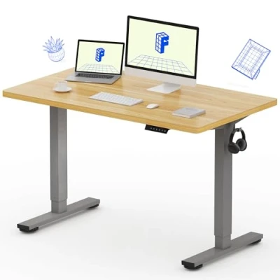 Image of FLEXISPOT Electric Height Adjustable Standing Desk Sit Stand Up with Memory Smart Pannel EF1 SERIES(120 * 60cm, Silver Frame+Maple Desktop)