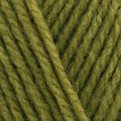 Image of Stylecraft Special DK 100g (Mistletoe 2180)