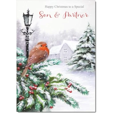 Image of doodlecards Son and Partner Christmas Card Robin by Lamp Medium Size for &amp; with Plain Envelope