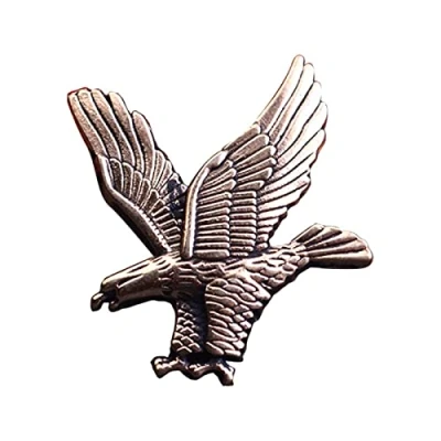 Image of HCMA New Retro Metal Gold Eagle Bird Brooch Men&#039;s Lapel Badge Pin Buckle Suit Shirt Collar Accessories