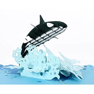 Image of CUTPOPUP Orca Whale Nephew Birthday Card, Cards for Men, Women, Daughter, Son, Kids, Nephew, Niece, Mothers Day Teenager UK