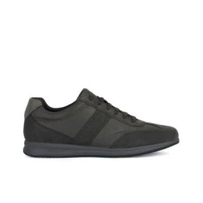 Image of Geox U Avery B Sneaker, Mud, 7 UK