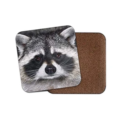 Image of 1 x Cute Raccoon Coaster Wild Animal Racoon American Cheeky Funny #14190