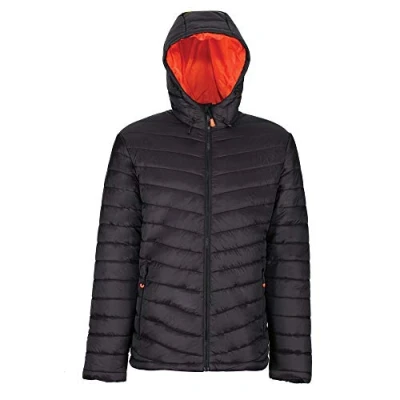 Image of Regatta Mens Thermogen Warmloft Insulated Jacket Perfect for Outdoors, Walking, Hiking &amp; Camping