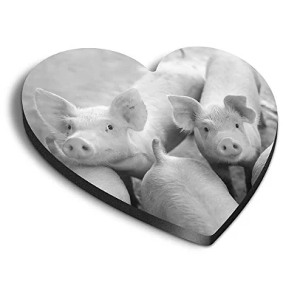 Image of 1 x Heart MDF Magnets Cute Pig Farm Animal 38269