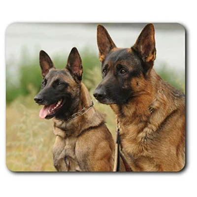 Image of Belgian Shepherd Malinois Dog Mouse Mat Pad Computer PC Laptop Gaming Office Home Desk Accessory Gadget 3094