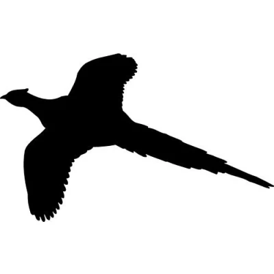 Image of Pheasant Car,Camper Van Window 4x4 Stickers Decals #3