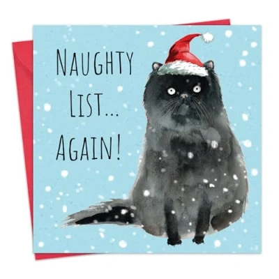 Image of Twizler Funny Christmas Card Cat Naughty List Humour Merry Xmas from the Mens for Him Husband Dad Son Womens Her Wife Mum Daughter