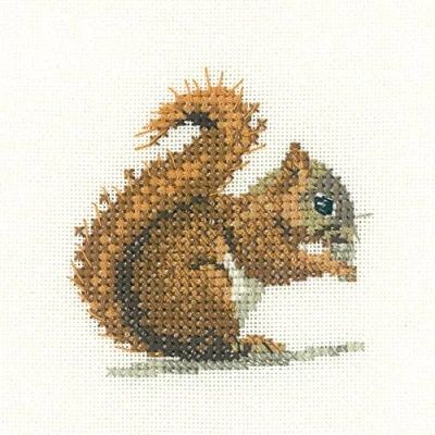 Image of Heritage Aida Squirrel (A) Counted Cross Stitch Kit LFRS1149 A 7x7cm
