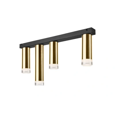 Image of Diego Surface Mounted Downlight Gold, 4x E27