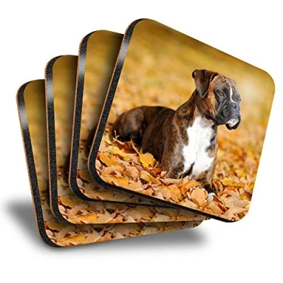 Image of Destination Vinyl ltd Great Coasters (Set of 4) Square Boxer Puppy Autumn Leaves Dog Drink Glossy Coasters/Tabletop Protection for Any Table Type #16251