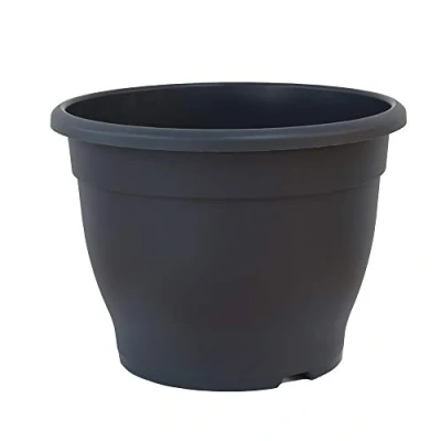 Image of Patio pots for Plants Dark Grey Made of durable garden plastic 32cm Planter by Thompson and Morgan (1)