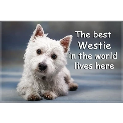 Image of Westie West Highland White Terrier Fridge Magnet Gift The Best in World Lives here