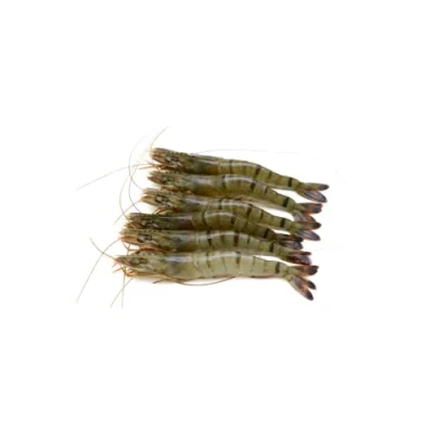Image of Aquahawk Frozen Raw Head Shell on Black Tiger Prawns 1kg