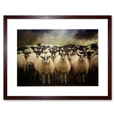 Image of Wee Blue Coo Sheep Flock Farm Animal Photo Wood Frame Picture Gift Framed Wall Art Print