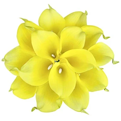Image of Huahuashijie 15 Pcs Real Touch Calla Lily Artificial Flowers Wedding Bridal Bouquet Home Décor Party (Lemon Yellow)