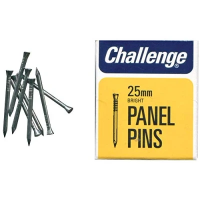 Image of Challenge Bright Steel Panel Pins 25mm 50g 10608, Silver