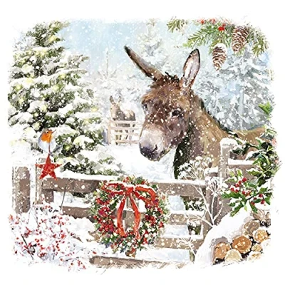 Image of Ling Design Pack of 6 Charity Christmas Cards &#039;Donkey with His Robin Friend&#039; 1 Attractive