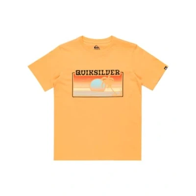 Image of Quiksilver SUN Faded Unisex Print Tshirt for kids, Size: 14y, Chamois