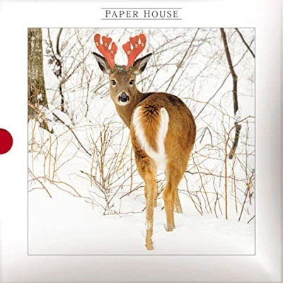 Image of the Great British Card Company Paper House Box of 16 Photographic Christmas Cards Deer and Winter Fox from Darkroom Range Cards, 8 Each 2 Designs, Multi