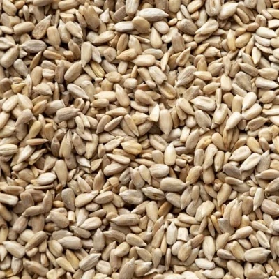 Image of Weterton Feeds 20kg Sunflower Hearts for Wild Birds Premium Bakery Grade