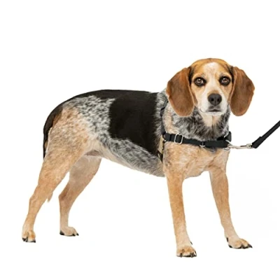 Image of PetSafe Easy Walk Harness, No Pull Walking Harness for Dogs, Adjustable Fit, Includes 1.8m Lead, Small/Medium Black