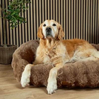 Image of Scruffs Luxury Alpine Box Bed For Dogs (XL)