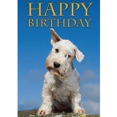 Image of Sealyham Terrier Dog Greeting Card by Charles Sainsbury Plaice