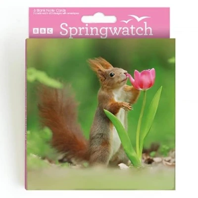 Image of Abacus Cards Pack of 6 Photographic Blank Note From the BBC Springwatch Range Humorous Wildlife Red Squirrel &amp; Mallard Duck 3 Each 2 Designs