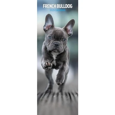 Image of French Bulldog 2025 Slim Calendar