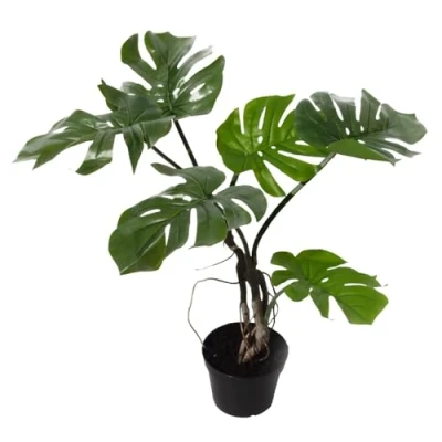 Image of LEAF 7541 65cm Artificial Twisted Stem Plant, Monstera Vine