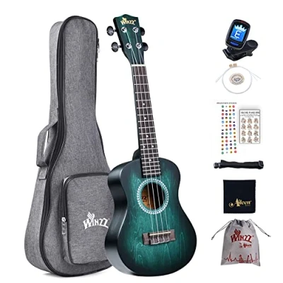 Image of Winzz Ukulele Concert 23 Inches Blue green, Beginner Kit for Adults and Children, Unique Color Design