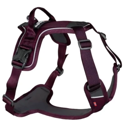 Image of Non stop dogwear Ramble Harness, Purple L
