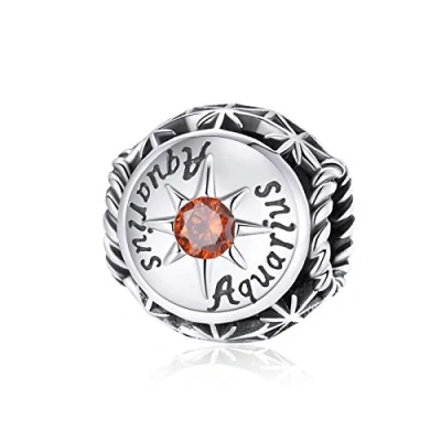 Image of Aqurius Constellation Charm 925 Sterling Silver Birthstone Lucky Birthday Anniversary Faith Love for Pandora Bracelet (Aqurius(1.20 2.18))