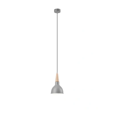 Image of Francesca Dome Pendant Ceiling Lights Silver, 1x E27