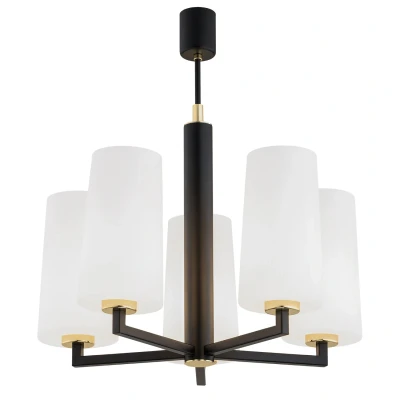 Image of Camelot Plus Multi Arm Pendant Ceiling 5 Light Opal Matt, Black Matt,Brass Elements
