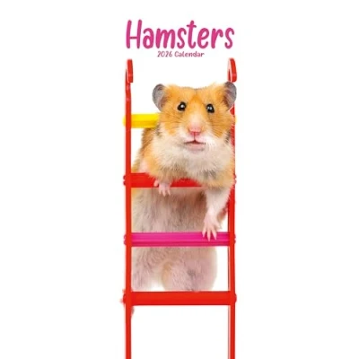 Image of Hamsters Slim Calendar 2026
