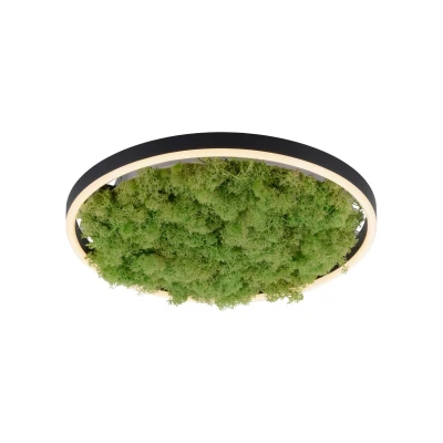 Image of JUST LIGHT. LED ceiling lamp Green Ritus, moss dimmable Ø39.3cm