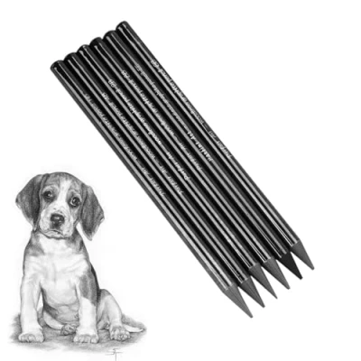 Image of 6 Pcs Woodless Black Graphite Pencils Set HB 2B 4B 6B 8B EE Professional Sketching Art Supplies Sketch Drawing Pencil for Drawing, Writing, Shading, Coloring Gift Artist Students Beginner