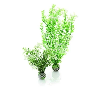 Image of biOrb Winter Flower Set 2