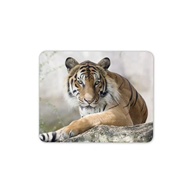 Image of Destination Vinyl ltd Beautiful Tiger Mouse Mat Pad Wild Cat Lion Safari PC Computer #8608
