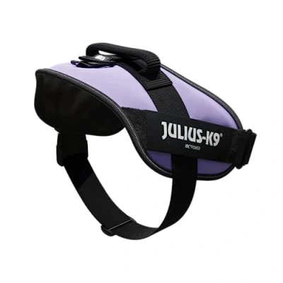 Image of Julius K9 IDC Powerharness, Size 2, Purple
