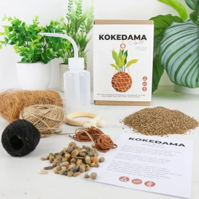 Image of Gift Republic The Art of Kokedama DIY Kit, Multicoloured, One Size