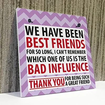Image of RED OCEAN Best Friend Bad Influence Family Friendship Gift Hanging Plaque Christmas Secret Santa Sign