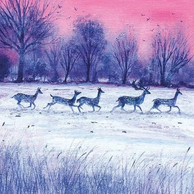 Image of Museums &amp; Galleries Christmas Cards Pack of 8 Winter Sky Deer in Snowy Field Eco Friendly Recyclable