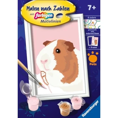 Image of Ravensburger Painting by Numbers 23758 Cute Guinea Pig Children from 7 Years