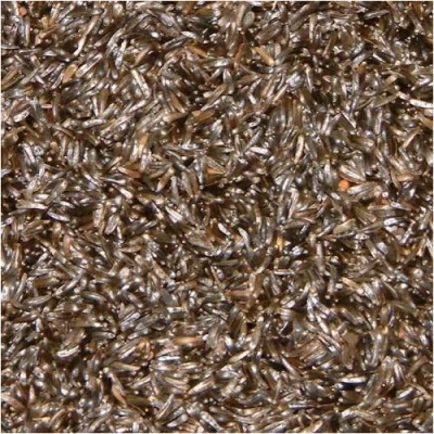 Image of NIGER SEED FOR BIRD FOOD 25KG BAG
